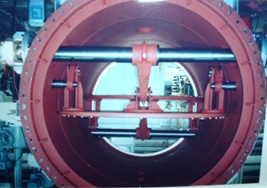 Swing Butterfly Valve